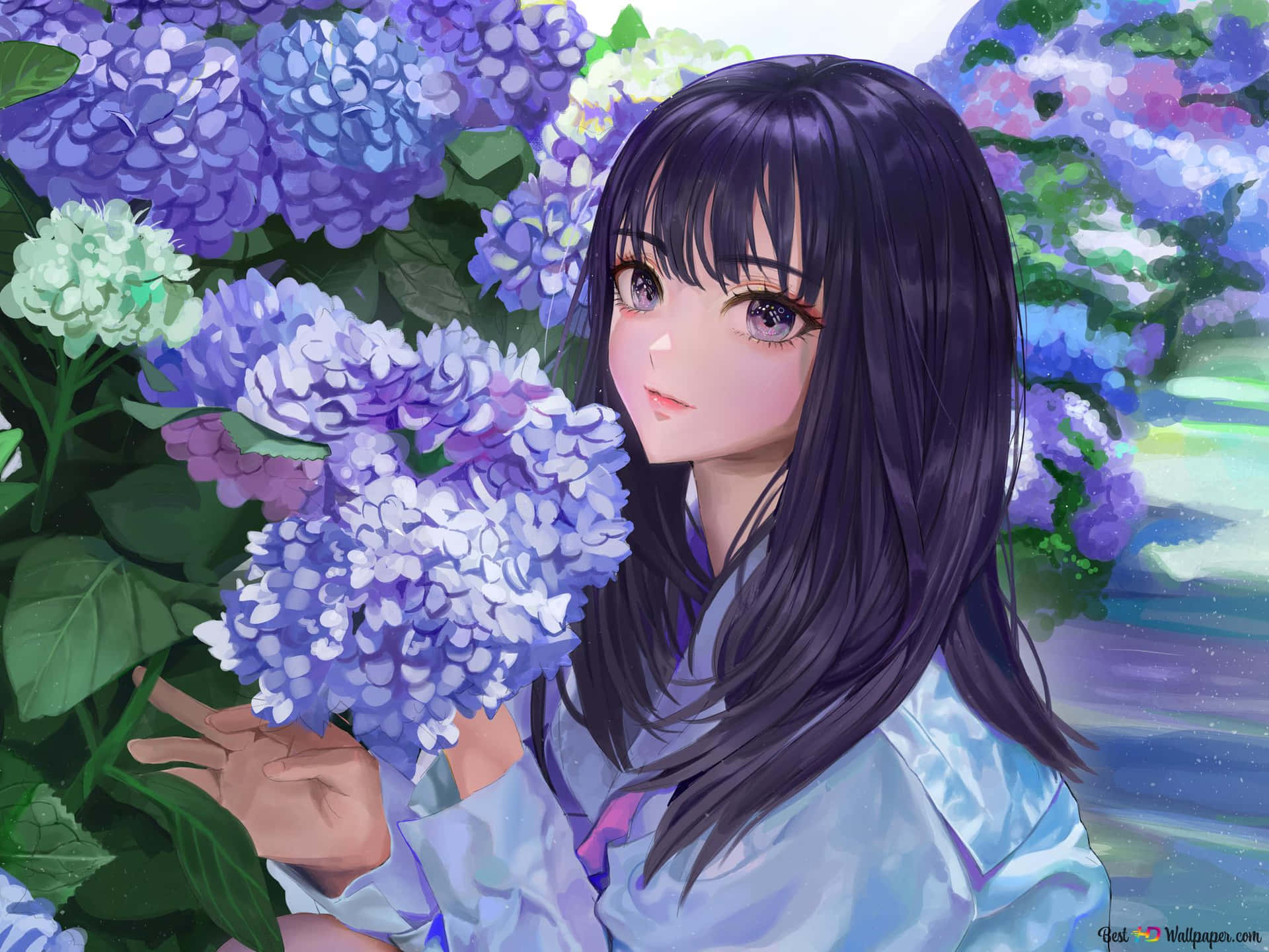 A Beautiful Anime Flower Blooming In Its Full Vibrant Colors Background