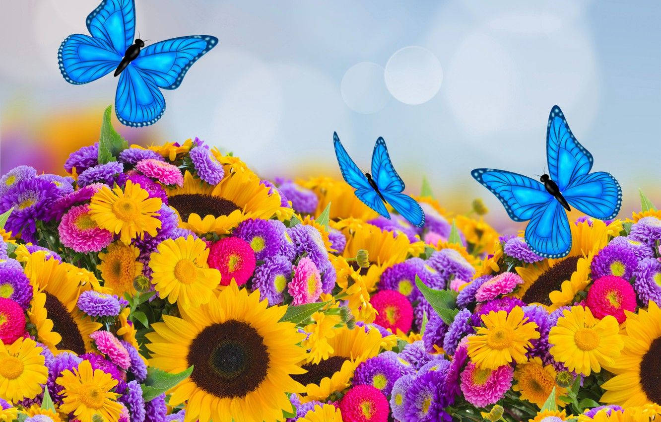 A Beautiful Arrangement Of Roses And Sunflowers. Background