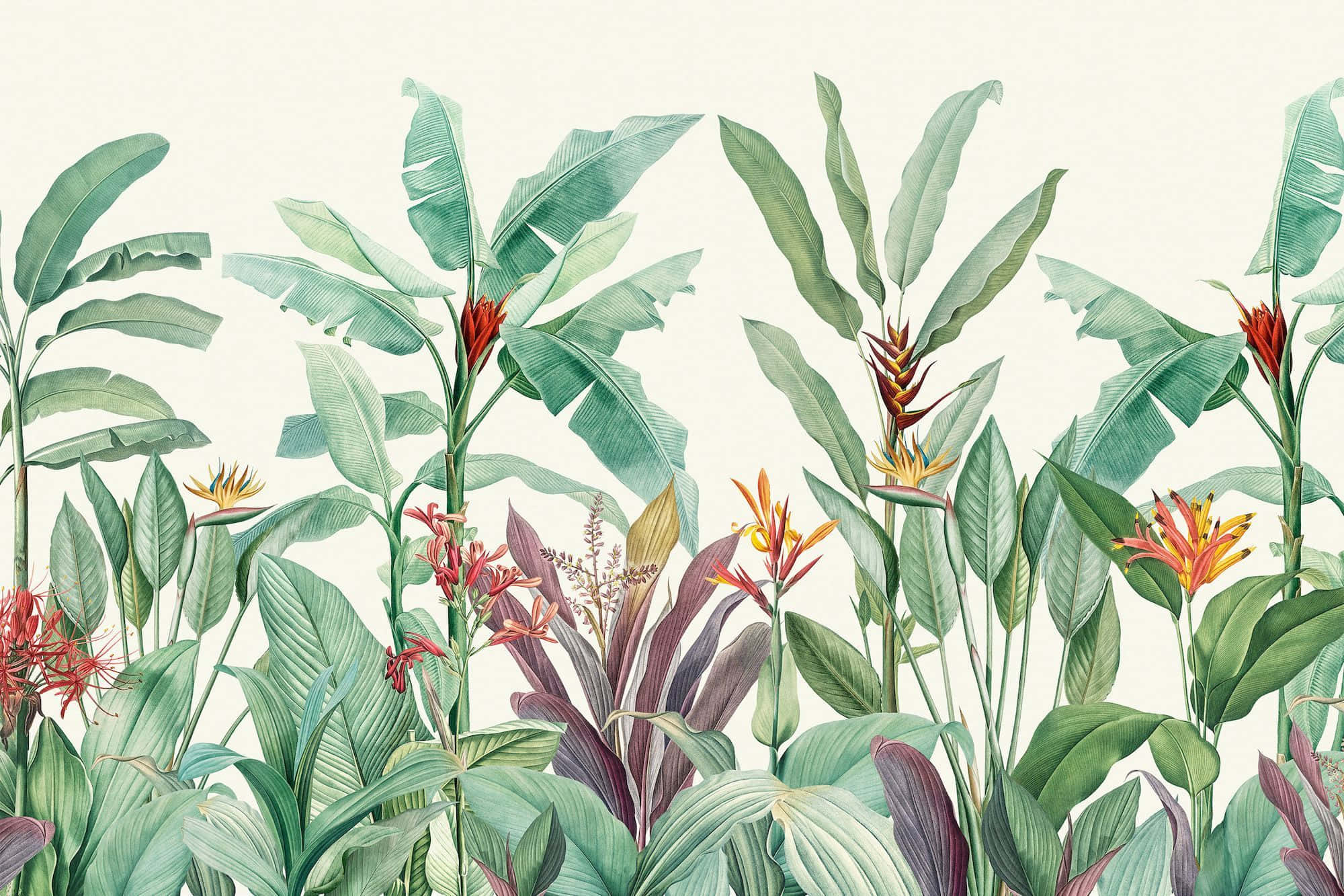 A Beautiful Array Of Botanical Delights Background