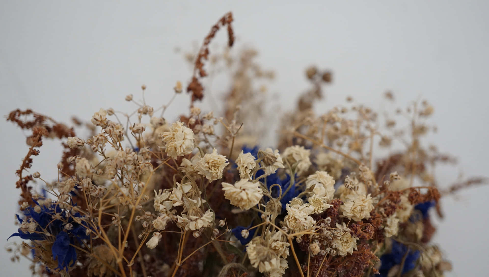 A Beautiful Assortment Of Dried Flowers On A Wooden Surface