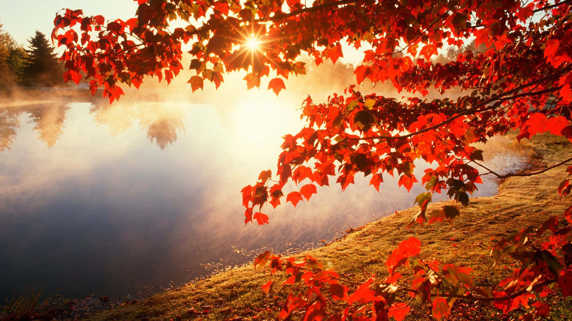 A Beautiful Autumn Scene In Nature Background