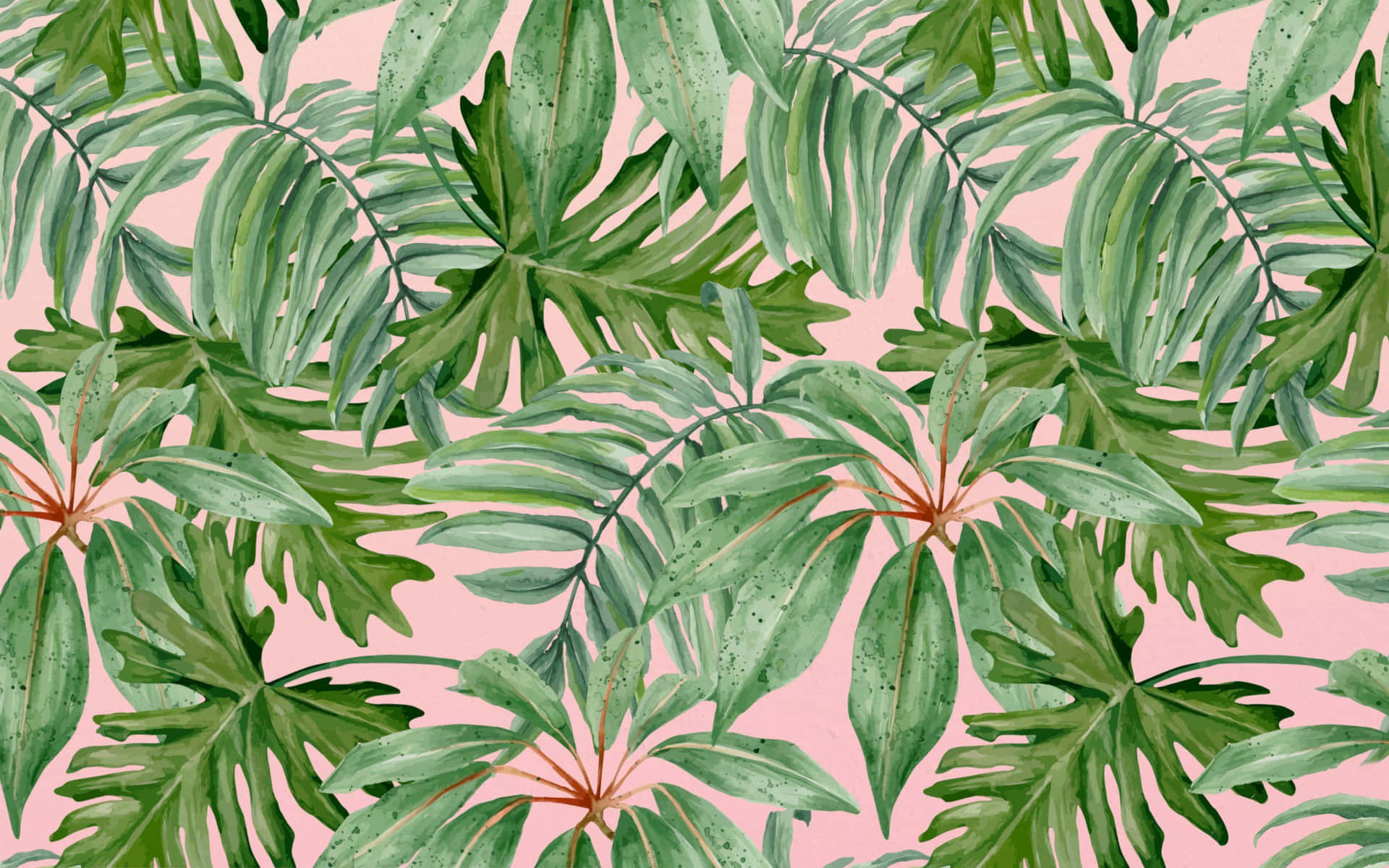 A Beautiful Background Of Tropical Leaves On A Computer Desktop Background