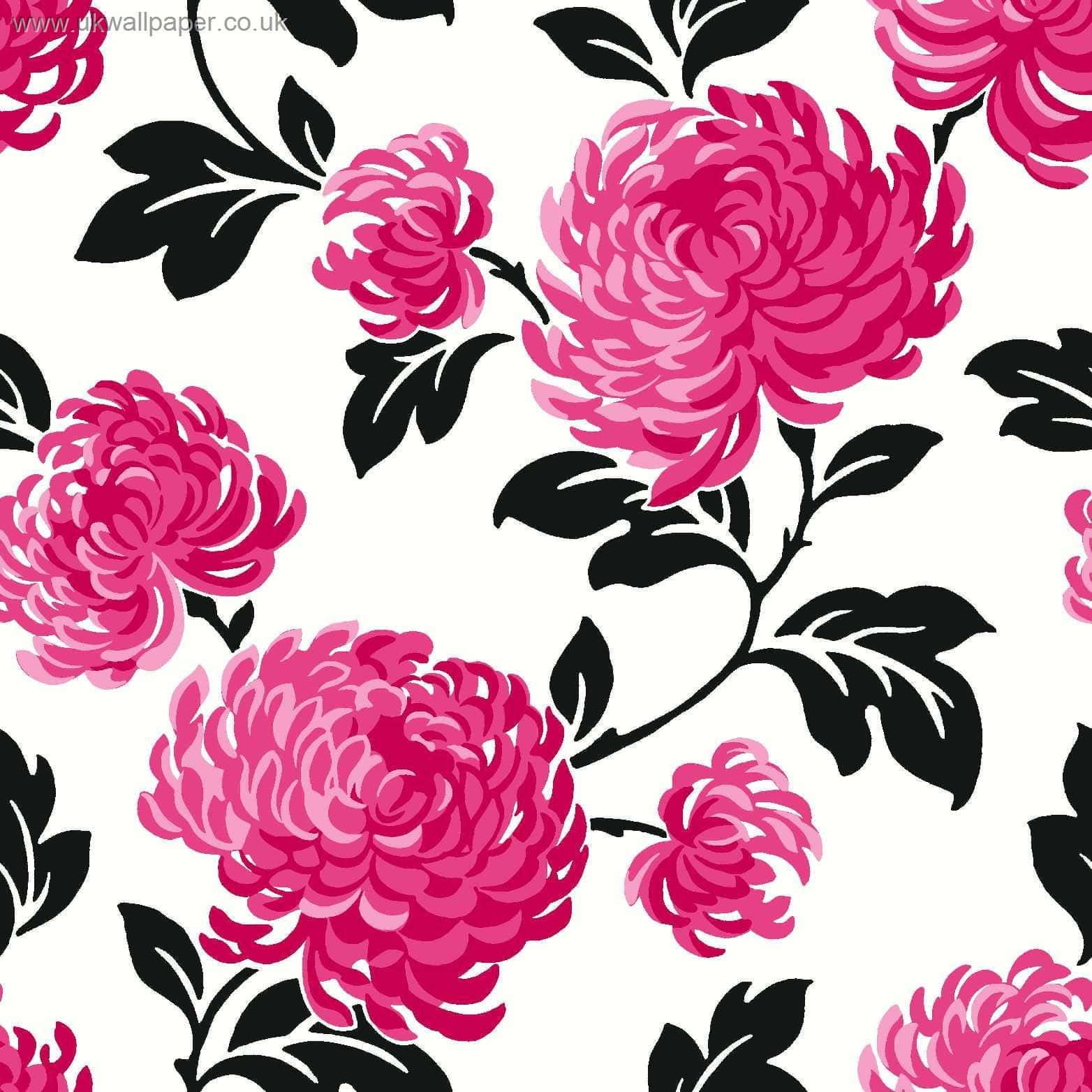 A Beautiful Black And Pink Floral Pattern That Brings A Sense Of Peace And Tranquility Background