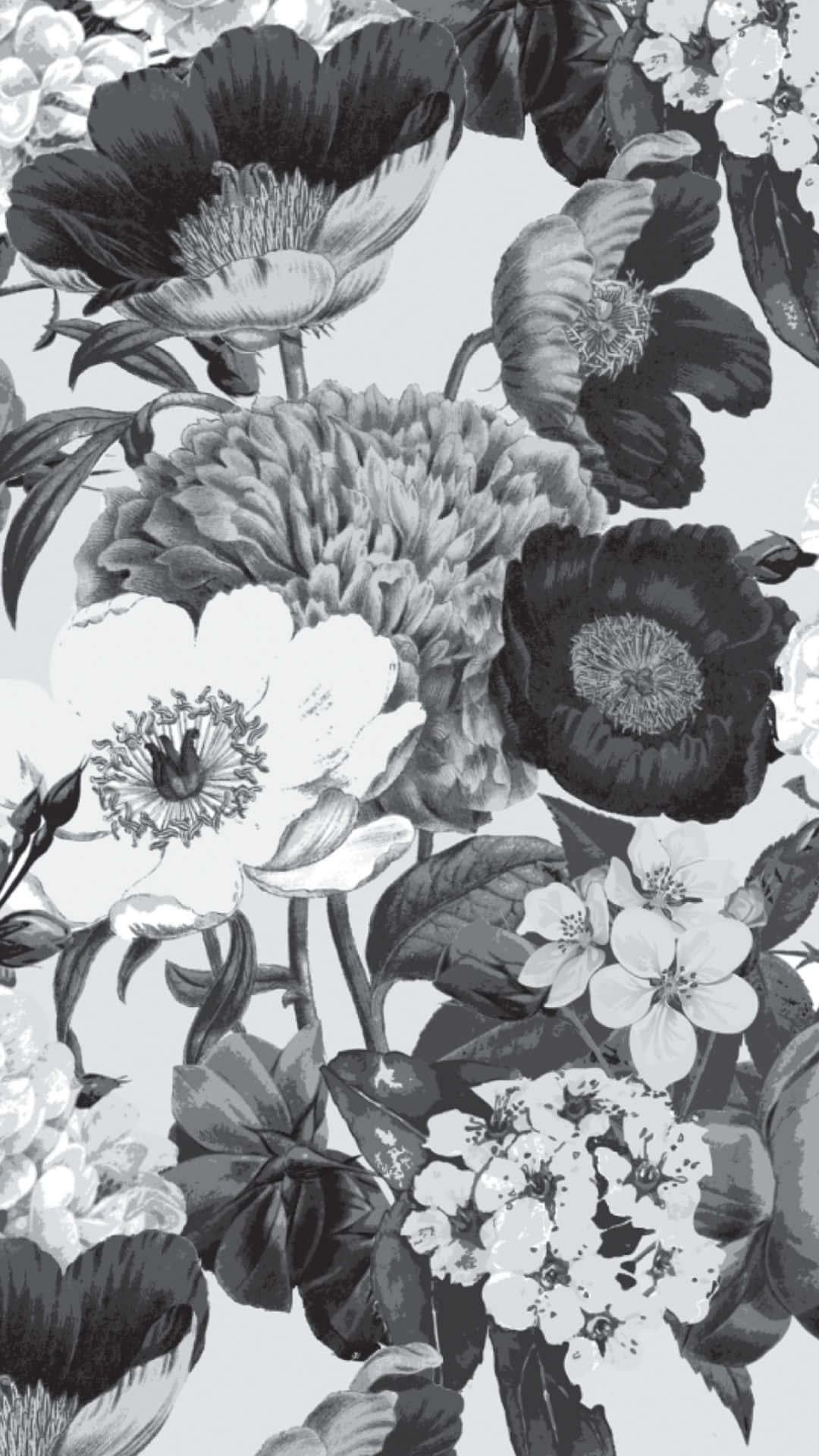 A Beautiful Black And White Flower For Your Iphone