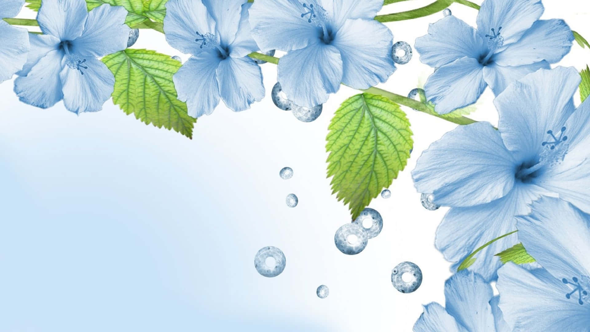 A Beautiful Blue Flower Desktop Wallpaper. Background