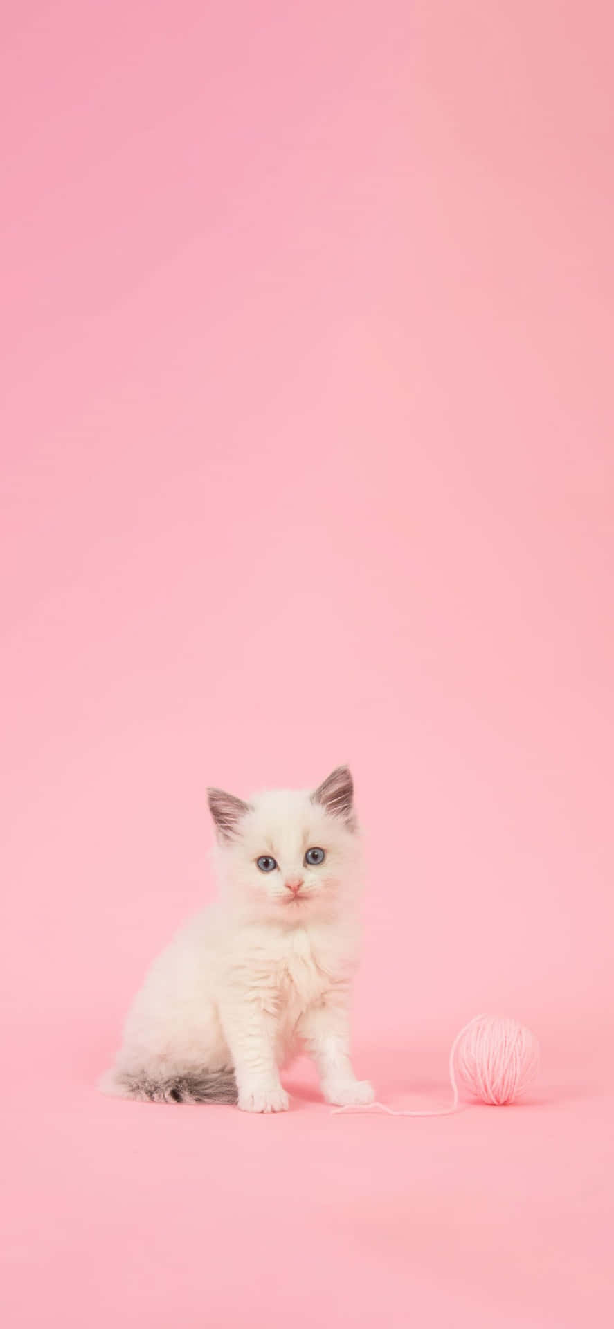 A Beautiful, Confident Young Woman Background