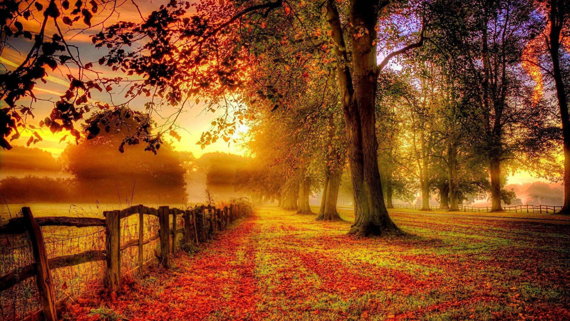 A Beautiful Country Road Illuminated By A Vibrant Autumn Sunset Background
