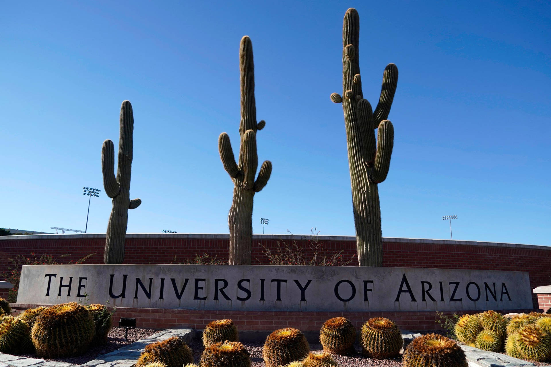 A Beautiful Day At The University Of Arizona Background