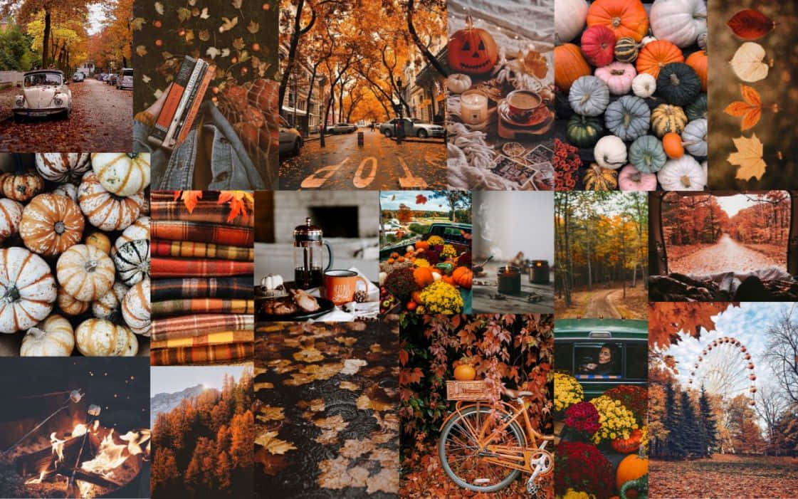 A Beautiful Fall Collage Capturing The Awe And Glory Of Nature Background