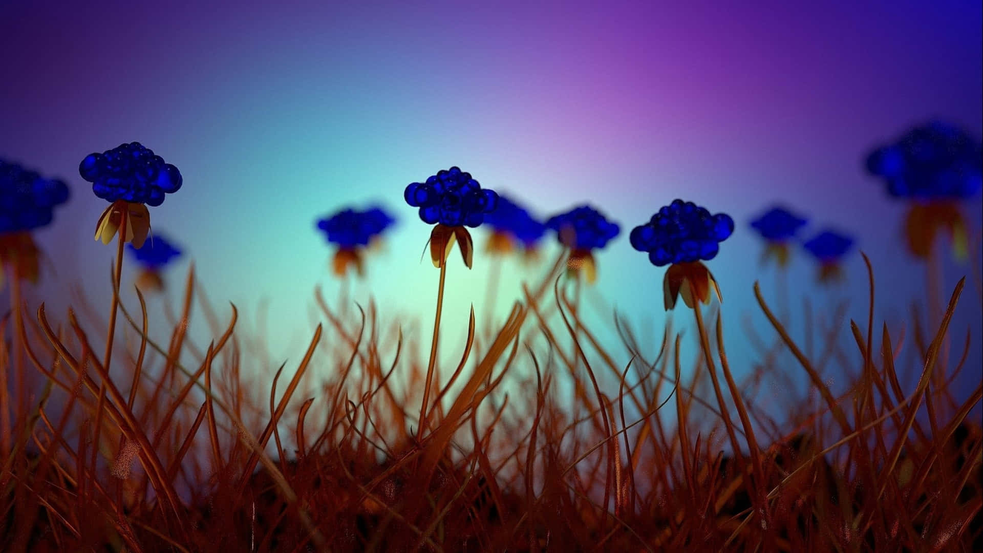 A Beautiful Field Of Wildflowers In Full Bloom Background