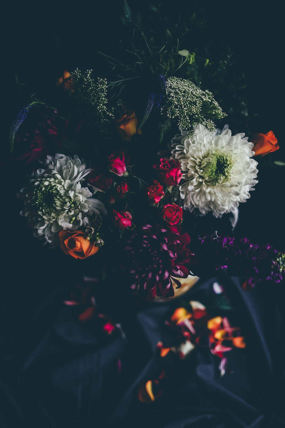 A Beautiful Flower Blooming In The Dark Background