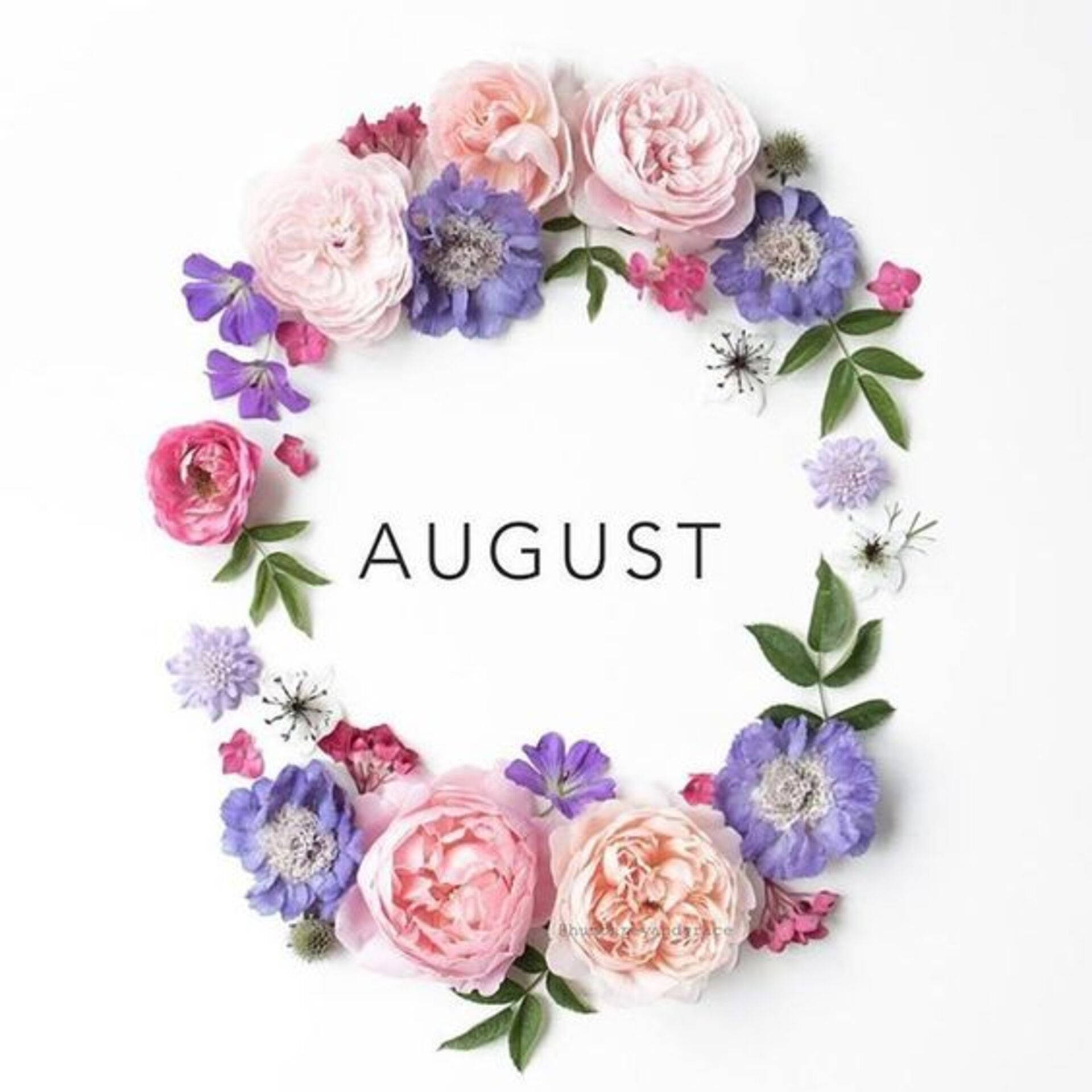 A Beautiful Flower Wreath To Welcome August Background