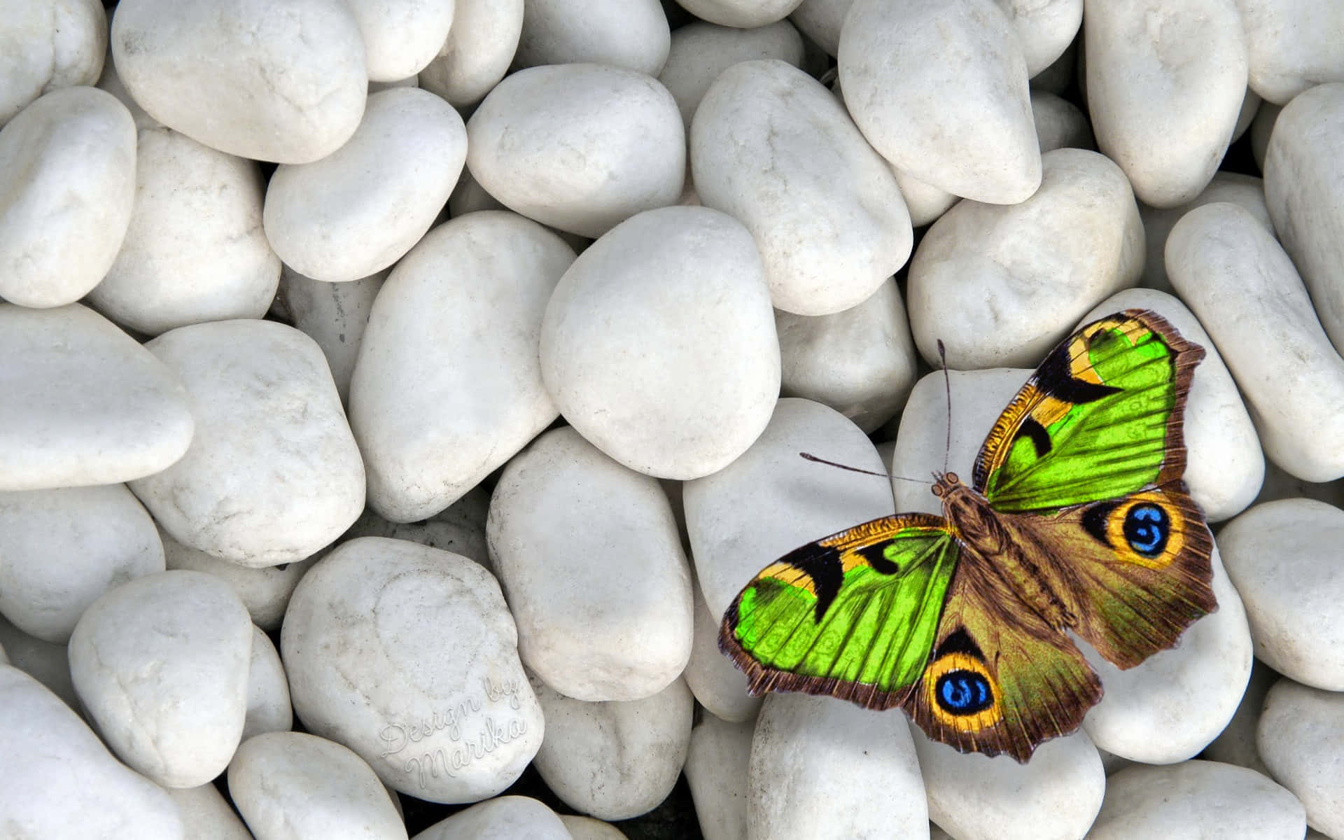 A Beautiful Green Butterfly Fluttering In Flight Background