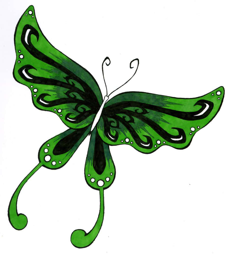 A Beautiful Green Butterfly, Looking For A New Home Background