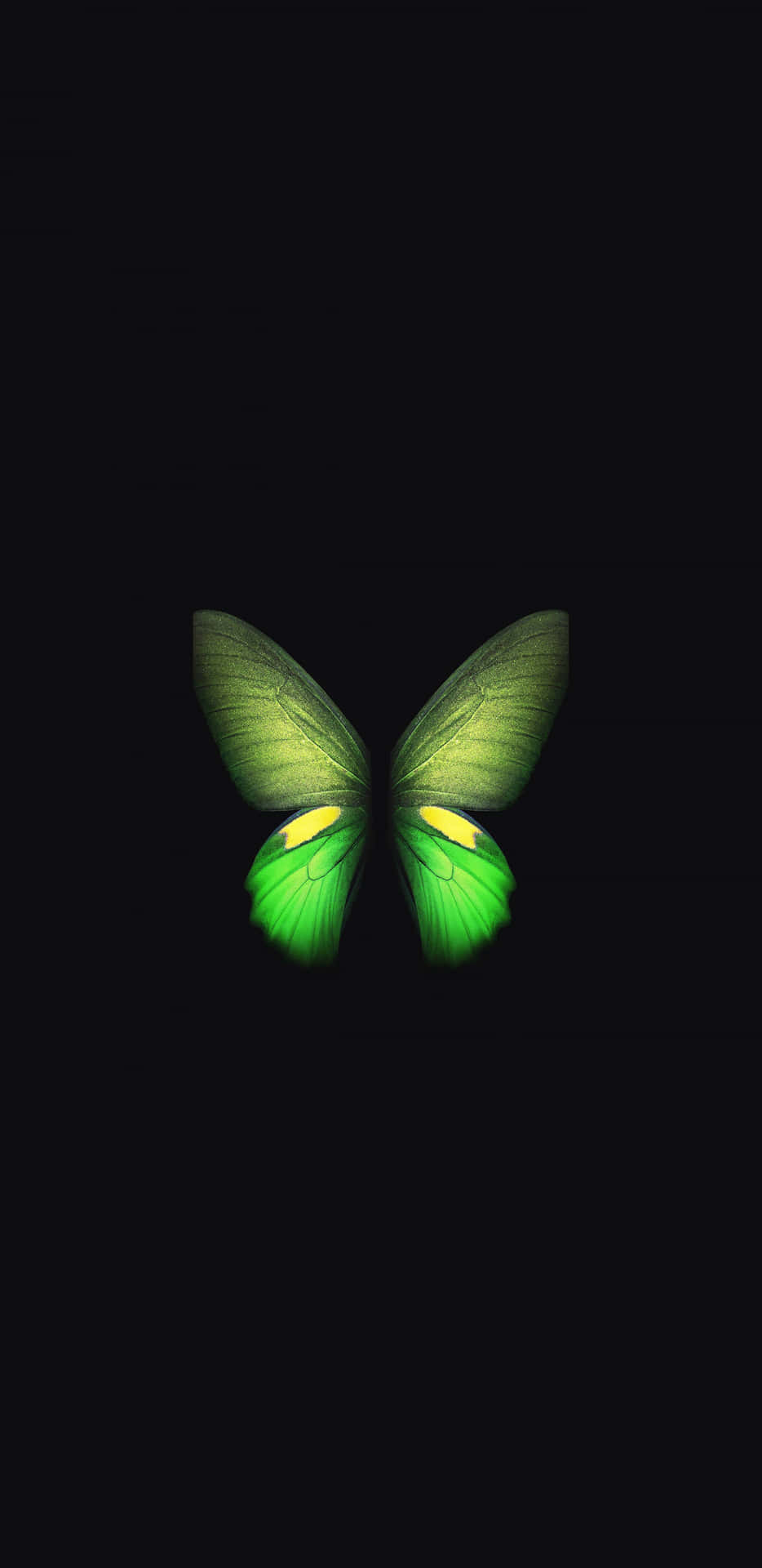 A Beautiful Green Butterfly On A Flower Background