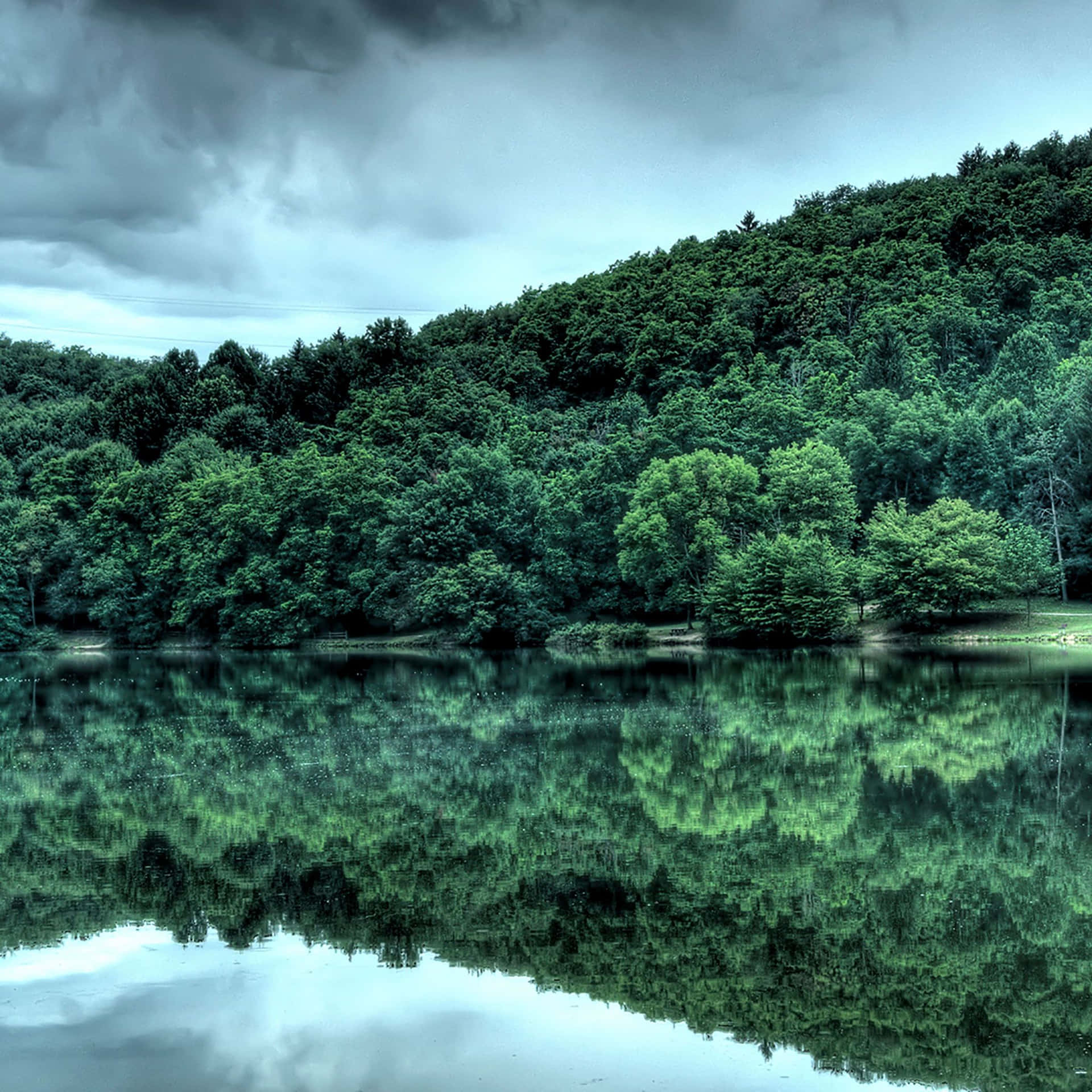 A Beautiful Lake Surrounded By Lush, Green Trees Background