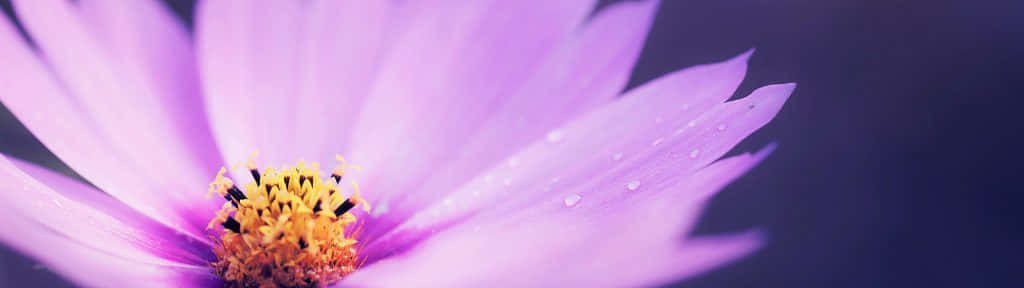 A Beautiful Landscape Of Rolling Green Hills Beneath A Bright Blue Spring Sky.