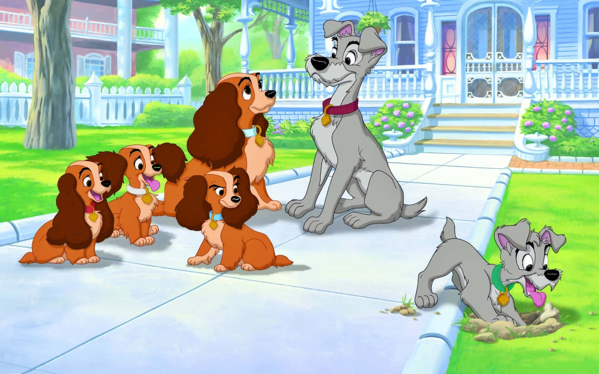 A Beautiful Moment Shared Between Lady And The Tramp In An Iconic Scene Background