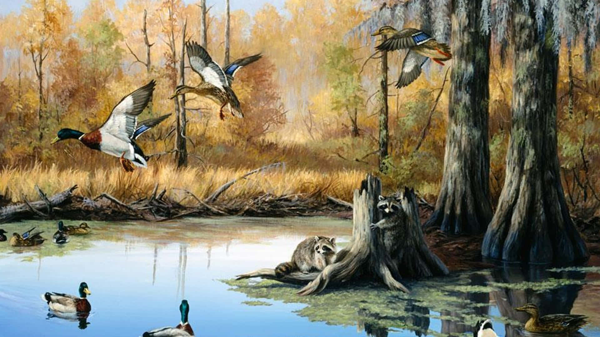 A Beautiful Outdoor Scene Of A Duck Hunting Trip. Background