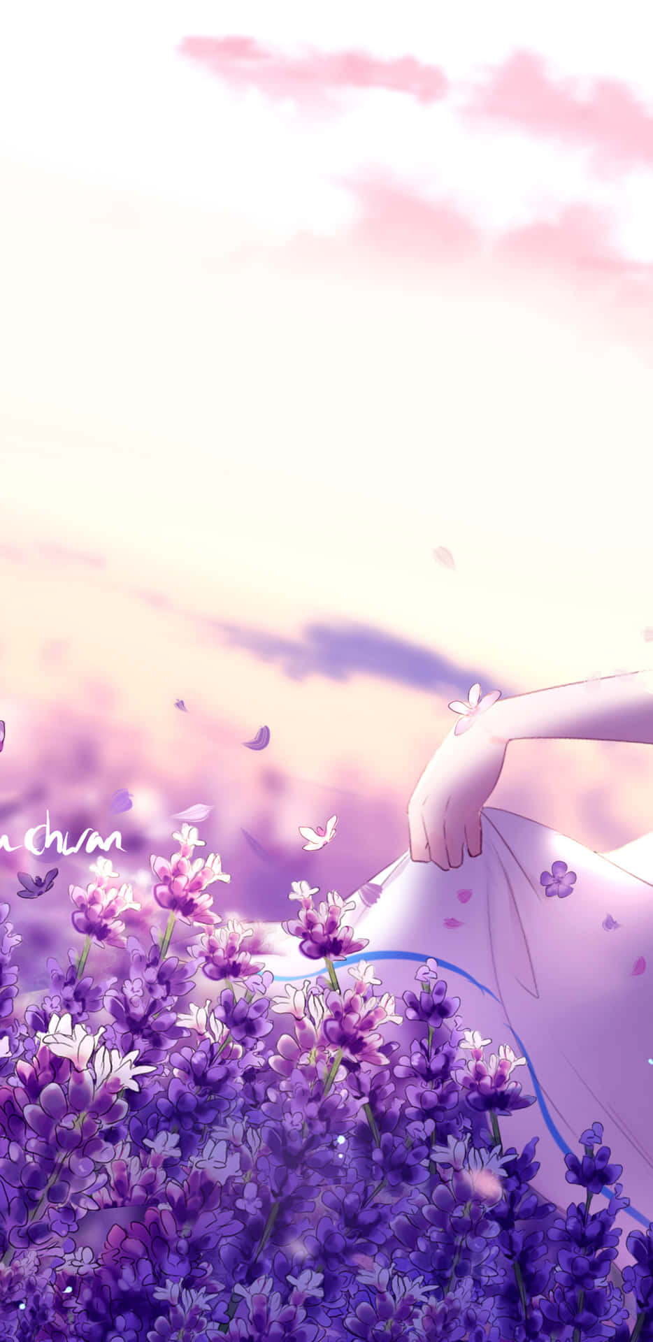 A Beautiful Panoramic View Of An Anime Flower Background