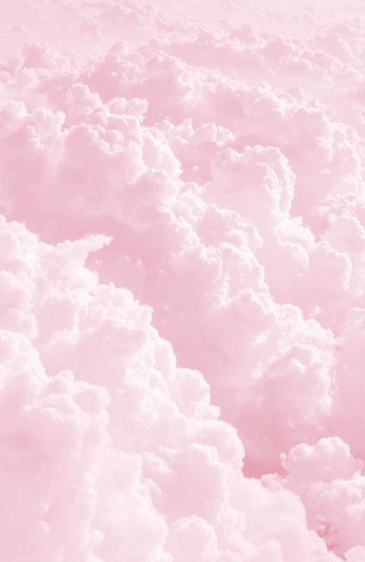 A Beautiful Pastel Pink Iphone Background