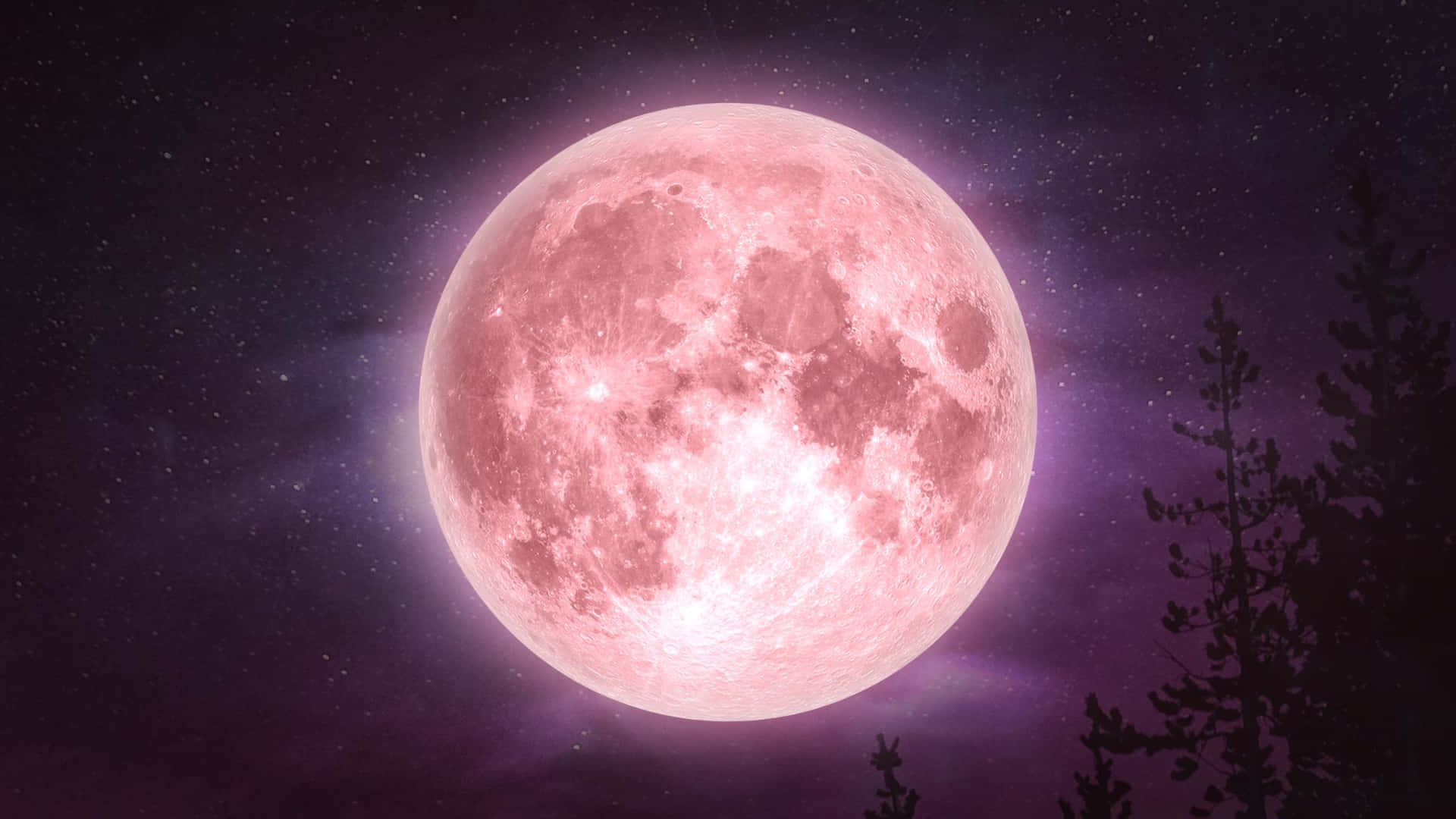 A Beautiful Pink Moon Illuminated In A Clear Night Sky