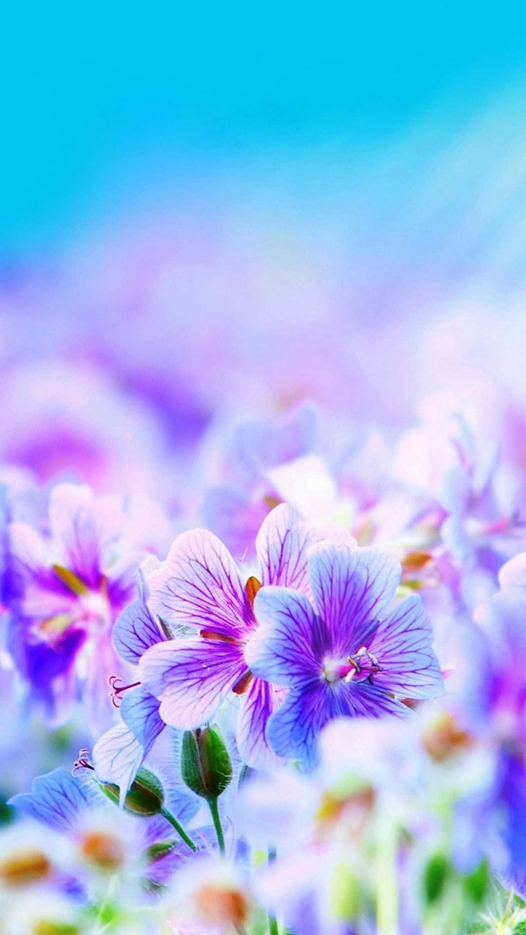 A Beautiful Pretty Flower Showcasing Its Glory Background