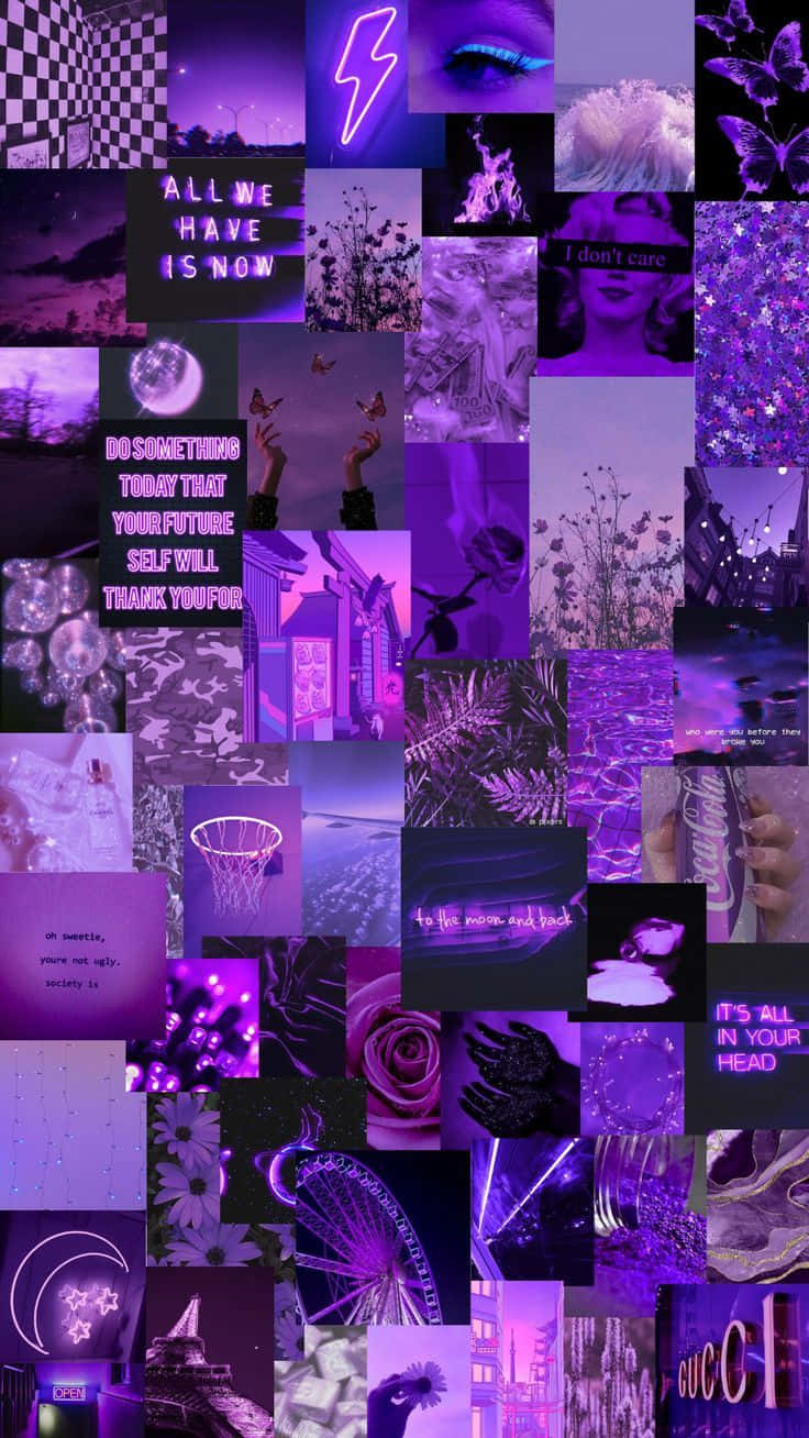 A Beautiful Purple Collage Of Patterns Created Uniquely For Your Viewing Pleasure