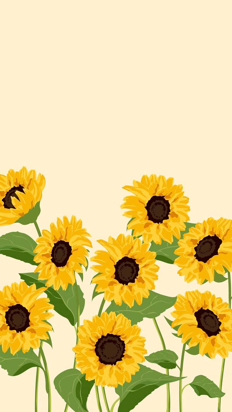 A Beautiful Sunflower Standing Proudly In Its Bright Yellow Hue. Background