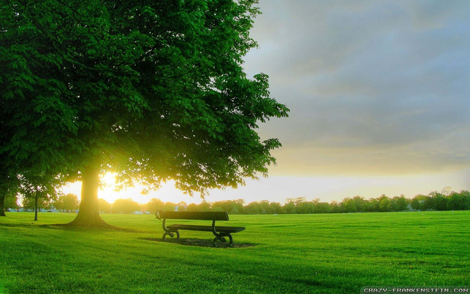 A Beautiful Sunrise Illuminates The Clouds And Sky With Its Warm Tones Background