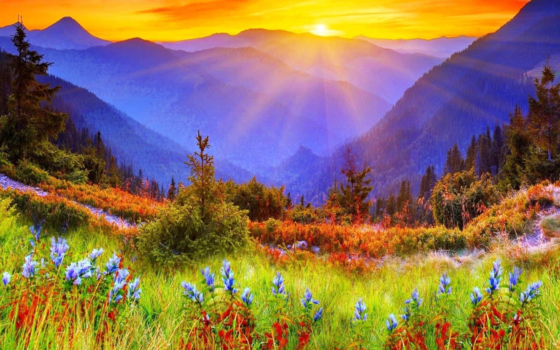 A Beautiful Sunrise Overlooking A Grassy Plain Background