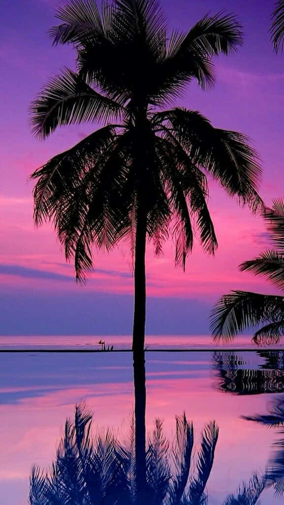 A Beautiful, Swaying Palm Tree In A Summer Paradise Background