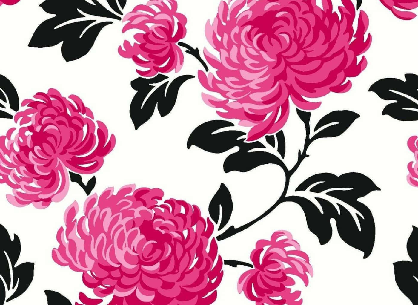 A Beautiful, Tranquil Pink And White Aesthetic Scene.