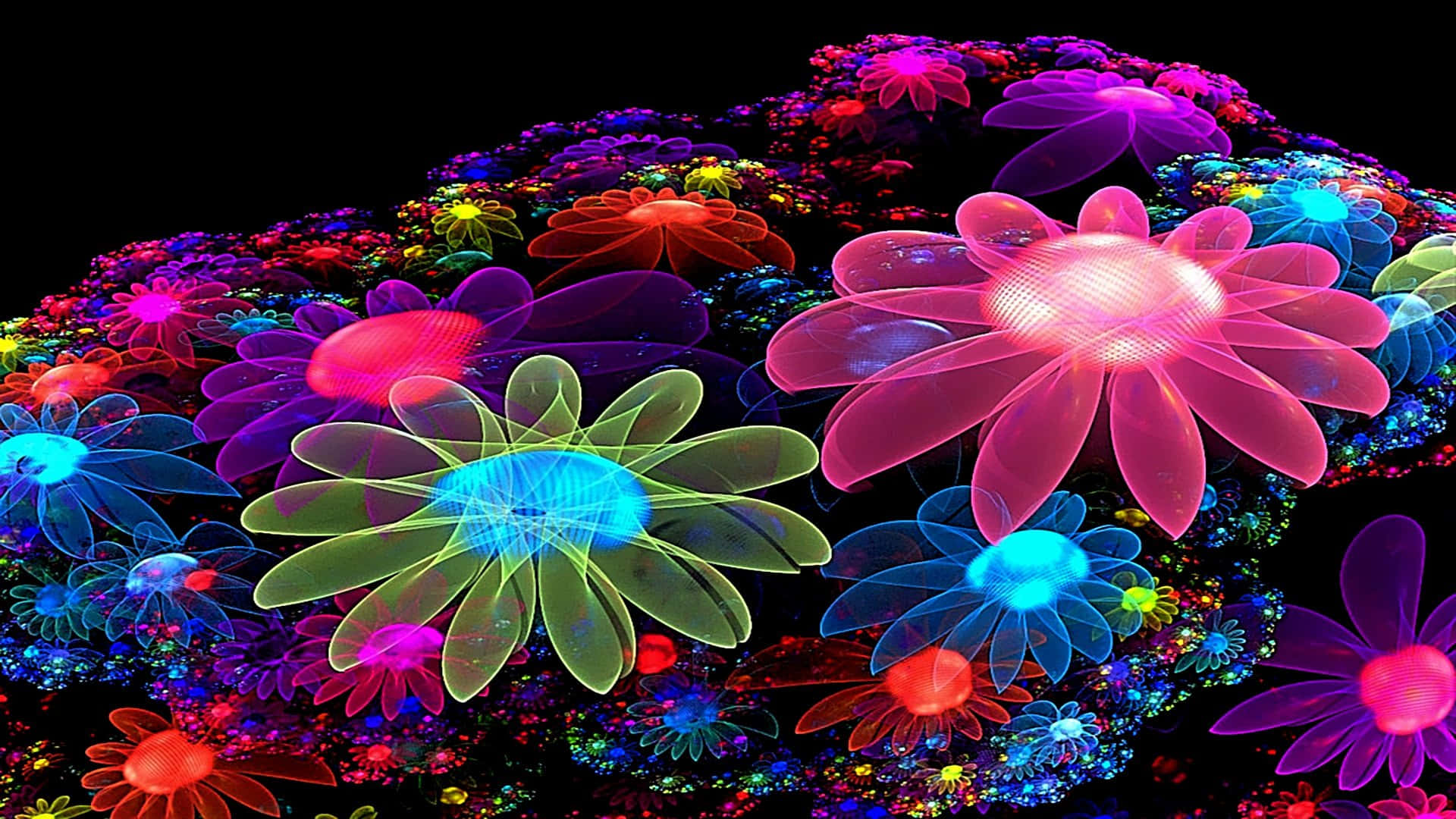 A Beautiful Vibrant Display Of Neon Flowers In Bloom