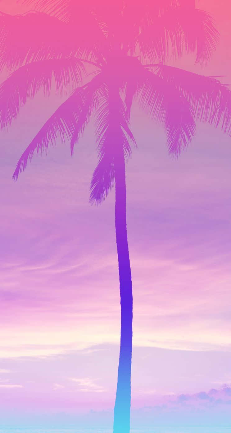A Beautiful View Of Hot Air Balloons In The Sky On A Pink Summer Day Background