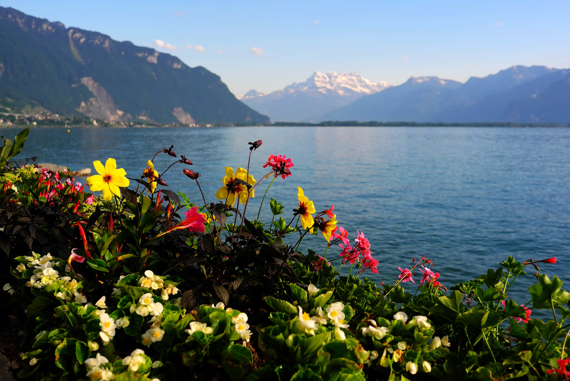 A Beautiful View Of Mountain Lake On A Sunny Day Background