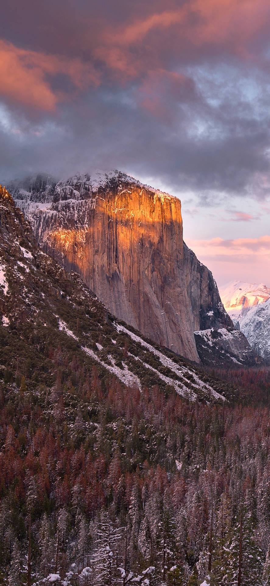 A Beautiful View Of Yosemite National Park Seen Through The Lens Of An Iphone Background