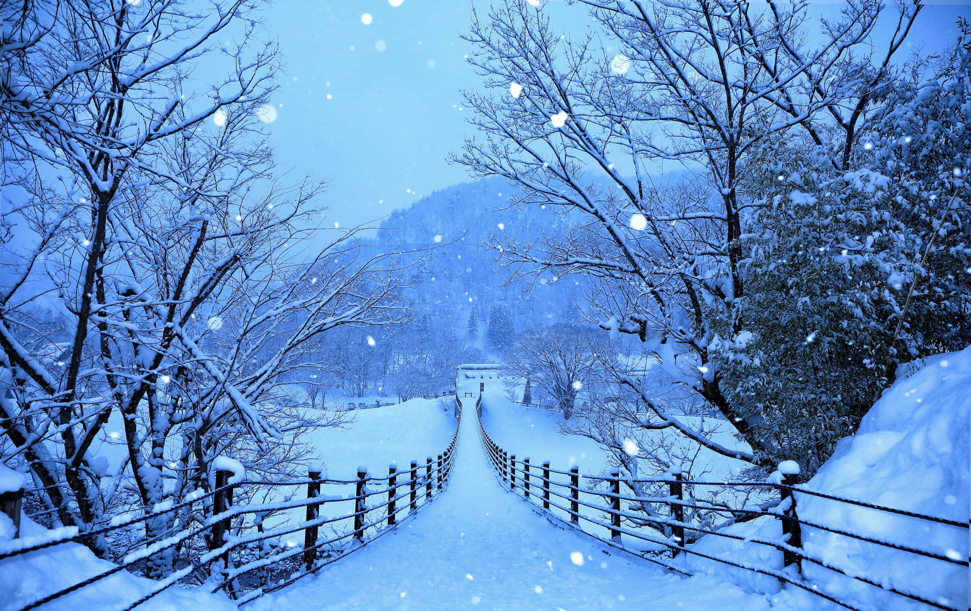 A Beautiful Winter Day Background