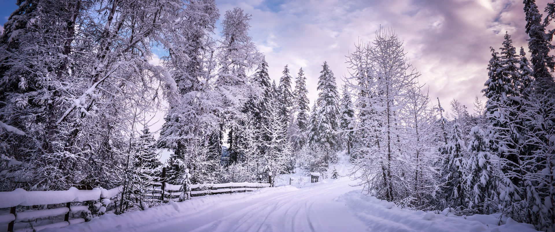 A Beautiful Winter Landscape Background