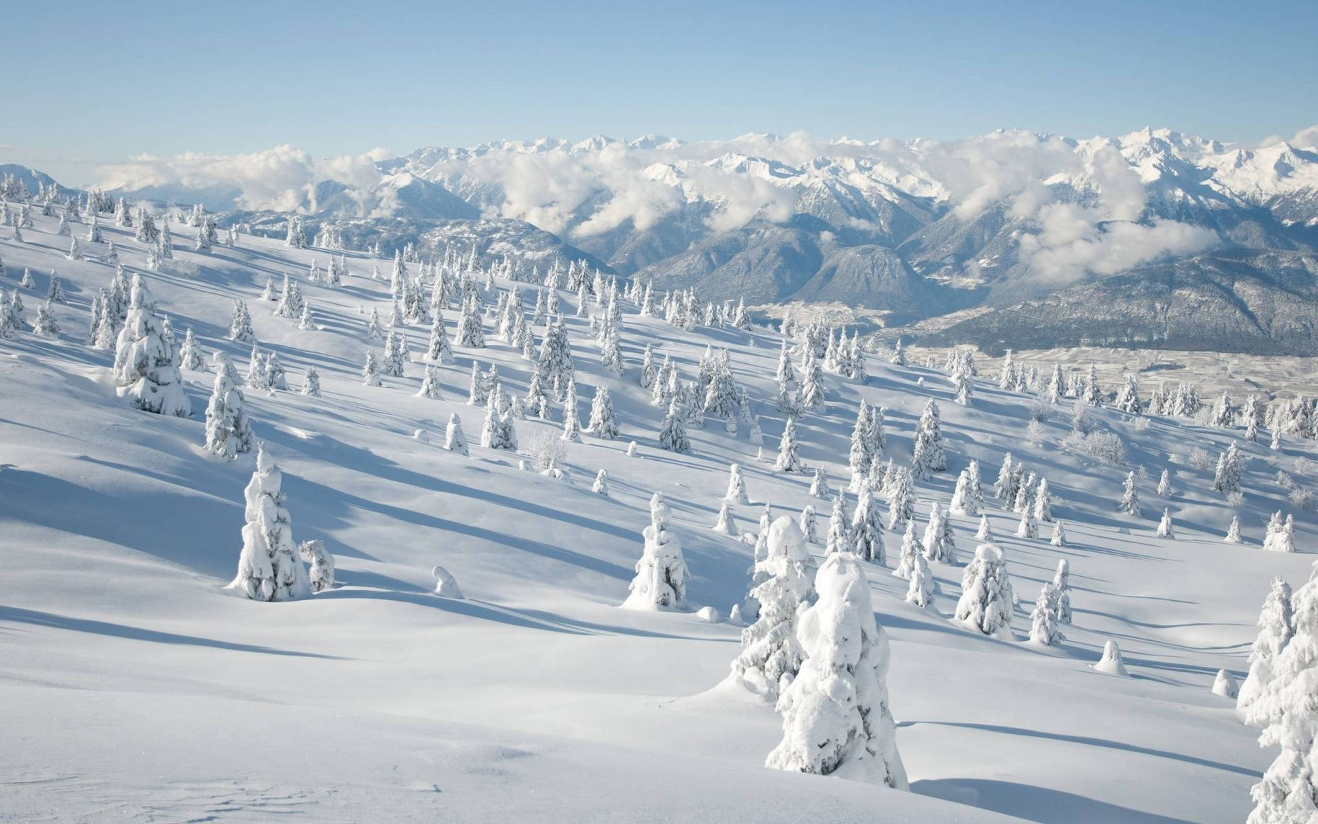 A Beautiful Winter Scene To Warm The Heart Background