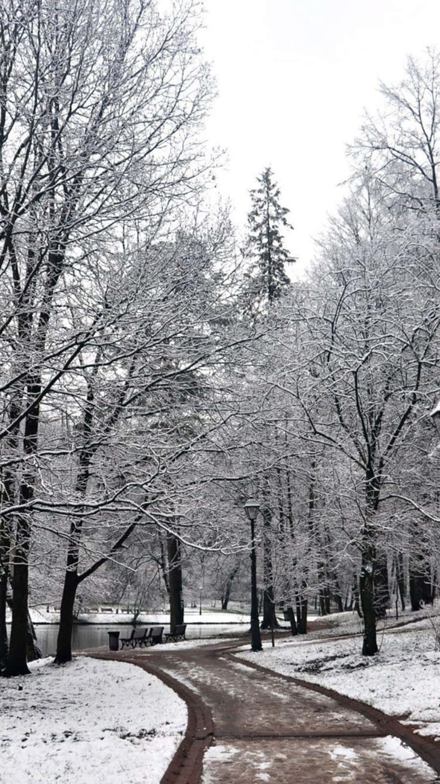 A Beautiful Winter Scene With A Phone In The Foreground