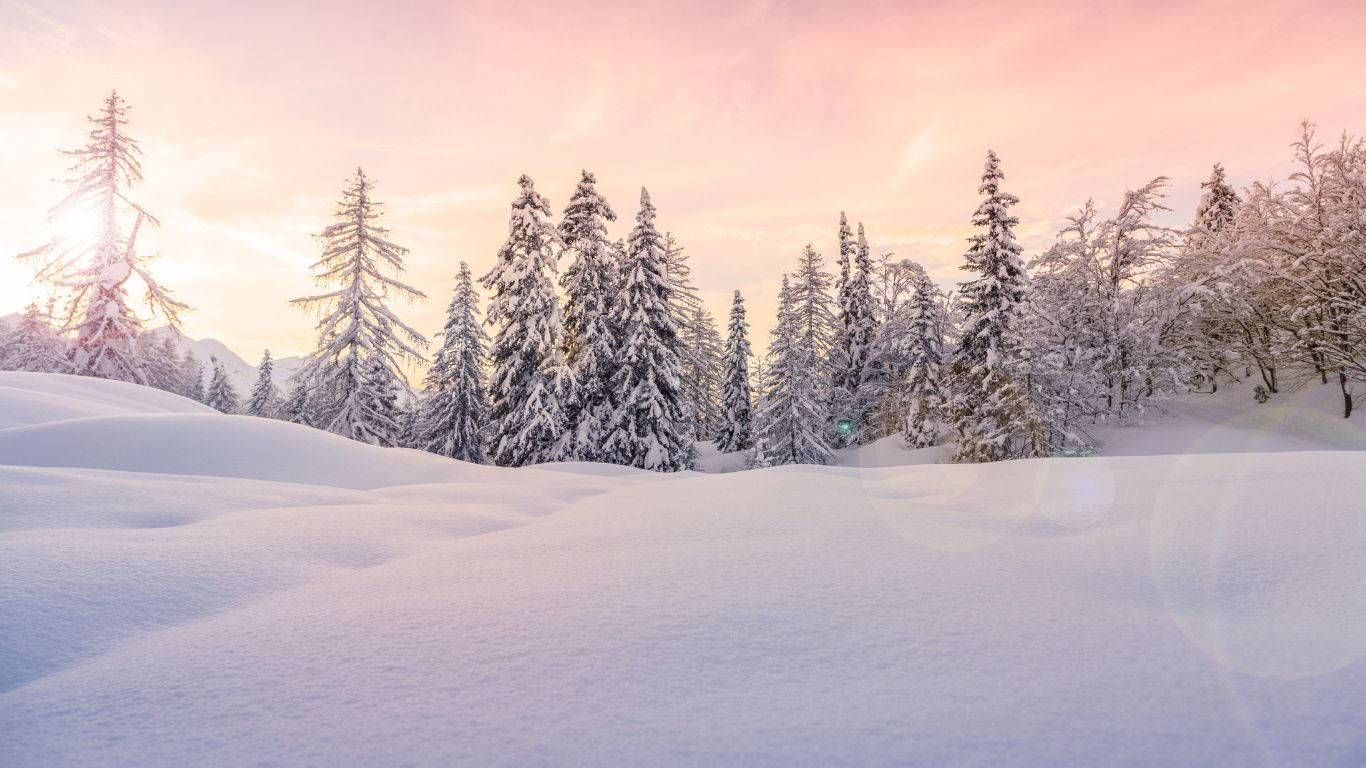 A Beautiful Winter Scene With Snow-covered Trees Background