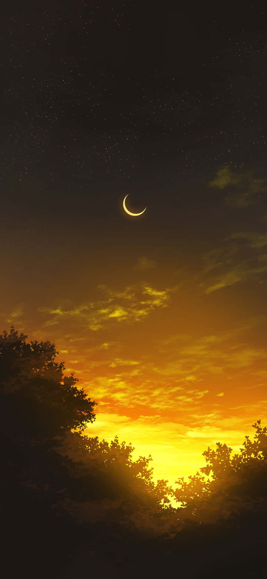 A Beautiful Yellow Floral Bouquet In Nature Background