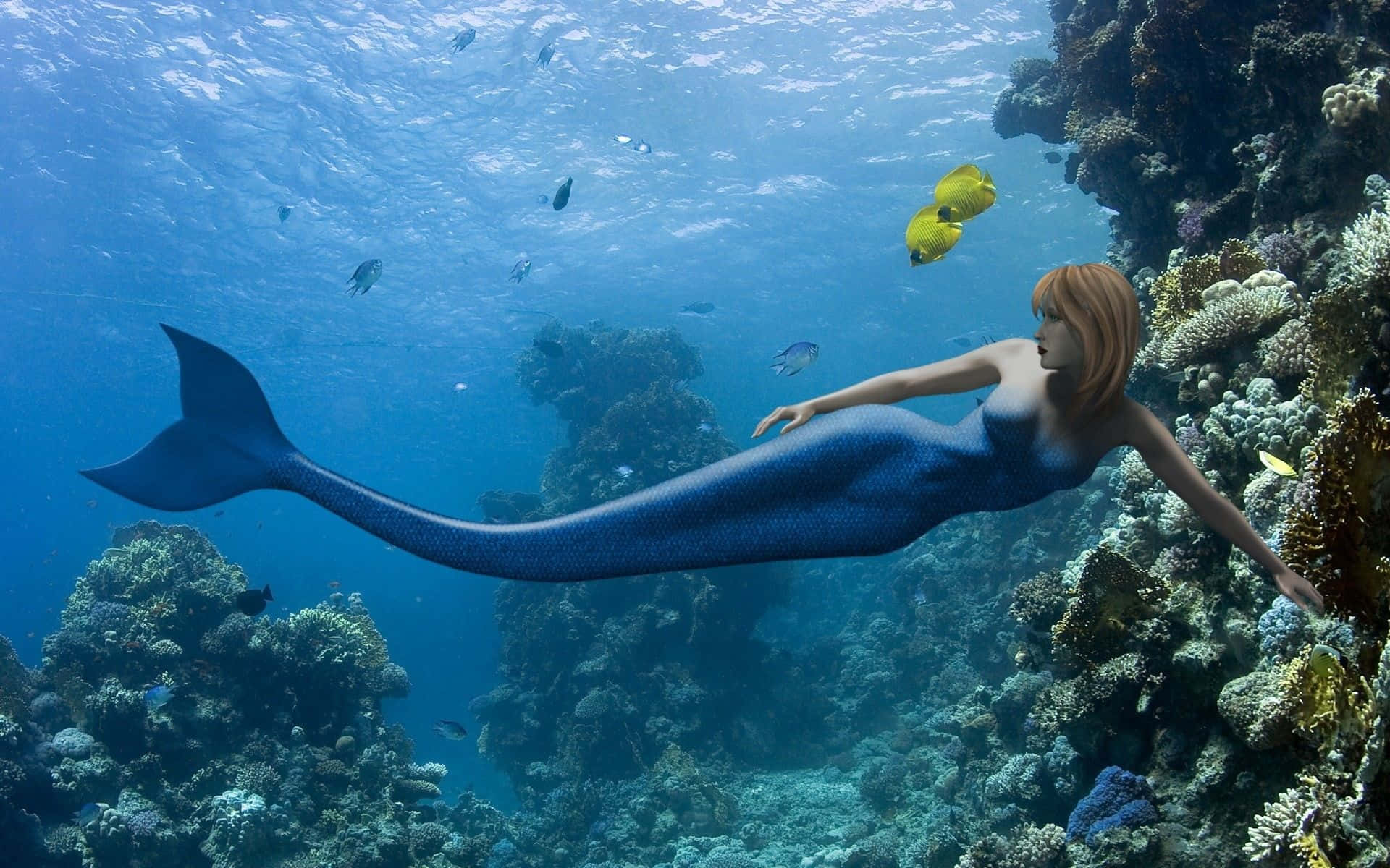 A Beautifully Tailed Mermaid Swims In The Sea