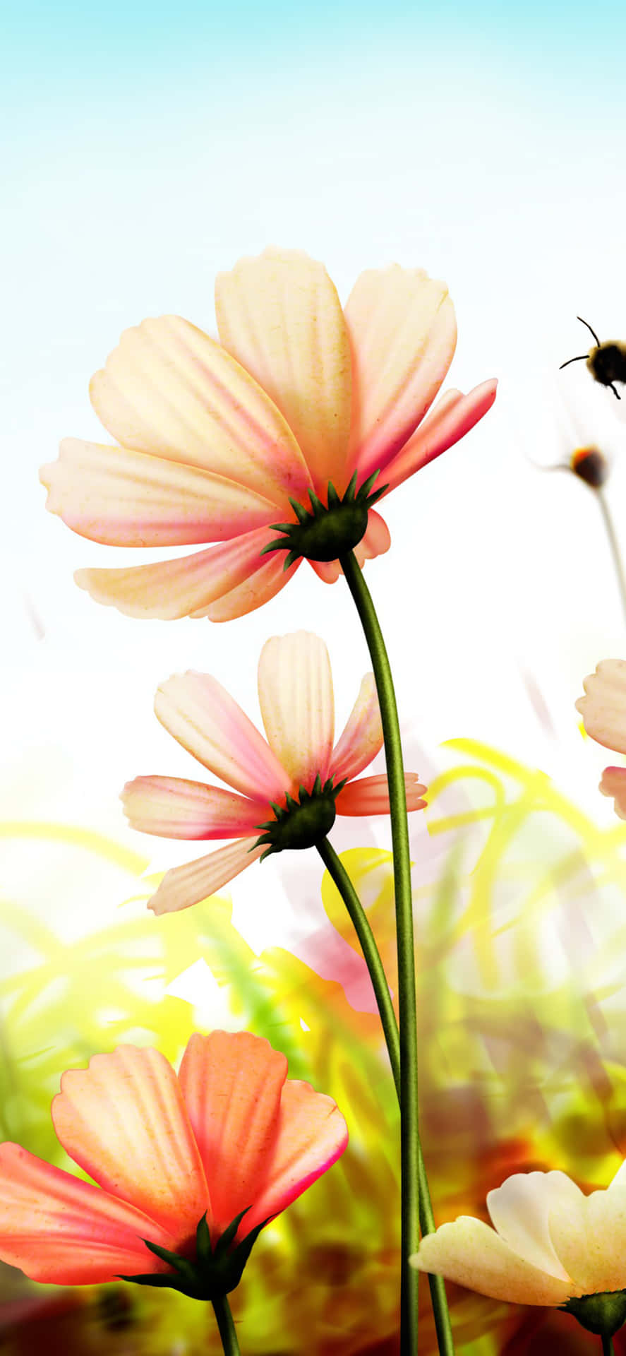 A Bee Is Flying Over A Field Of Flowers Background