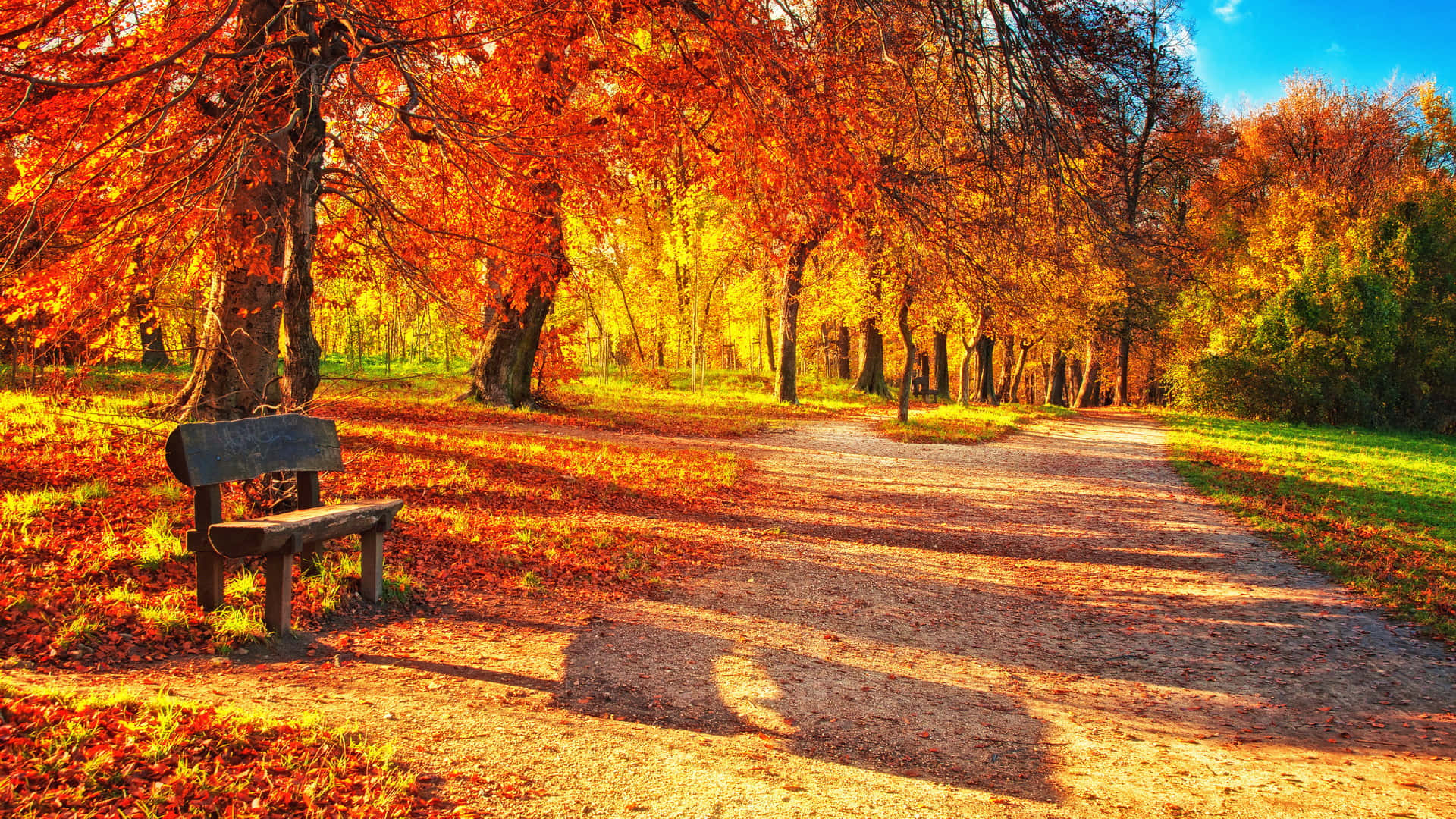 A Bench In A Park With Autumn Leaves Background