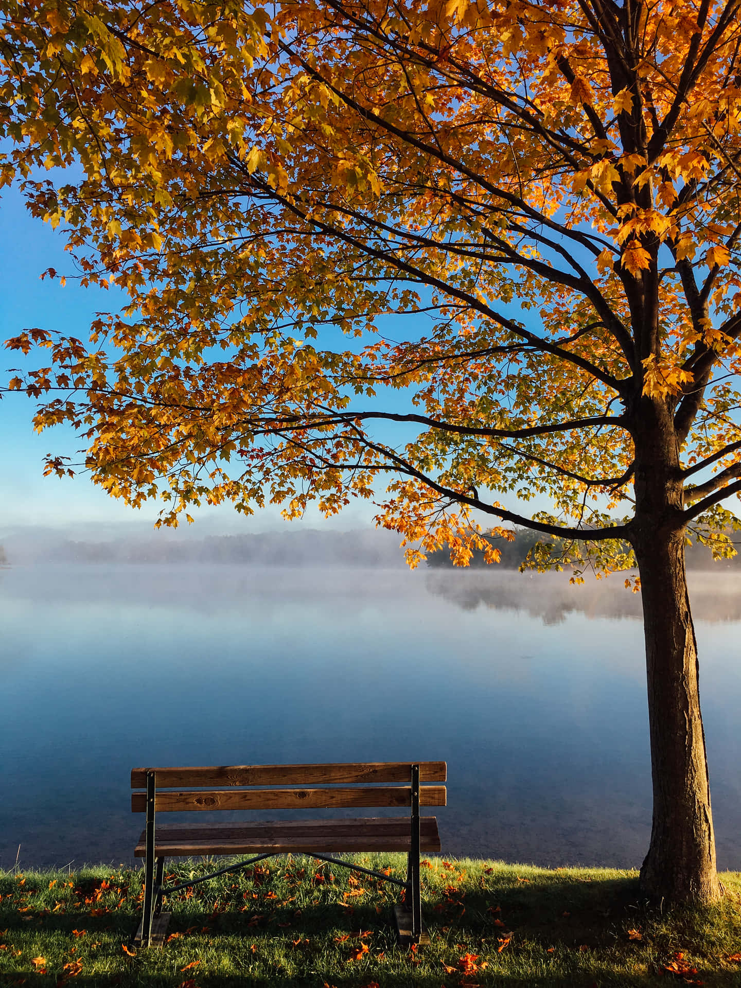 A Bench In Front Of A Lake Background