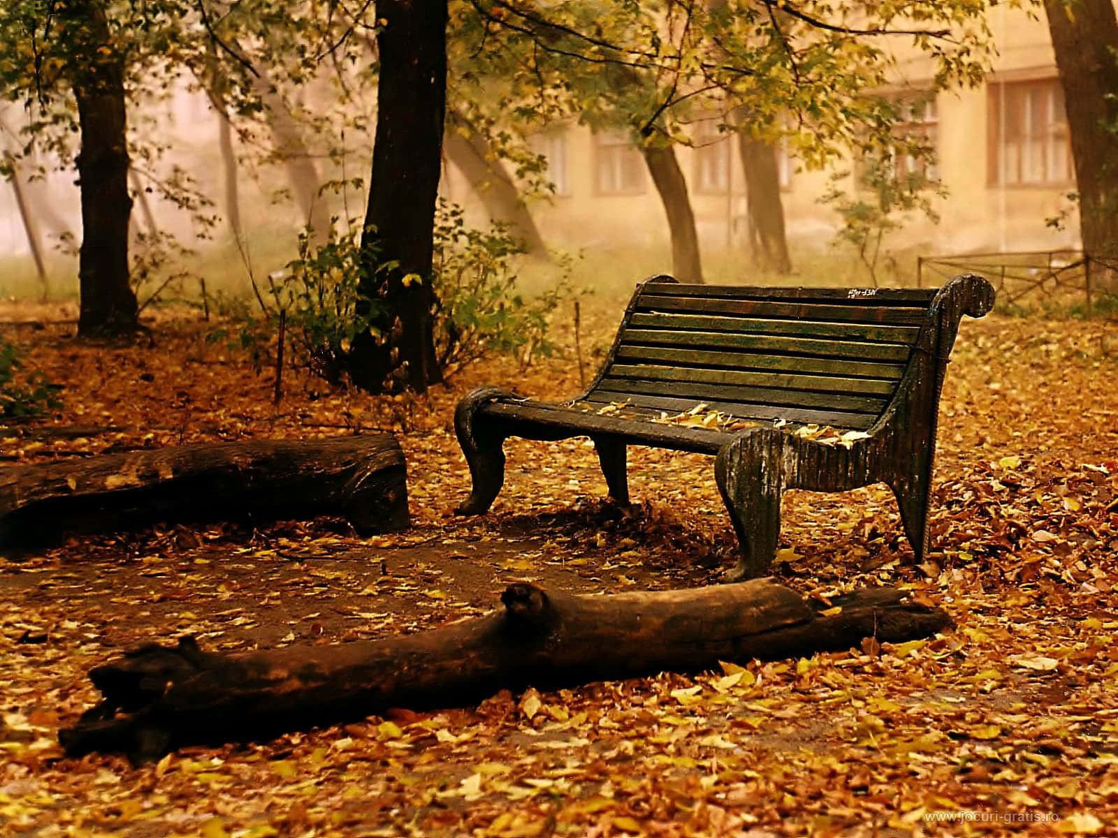 A Bench In The Woods Background