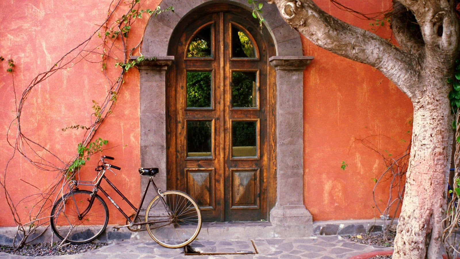 A Bicycle Is Leaning Against A Door