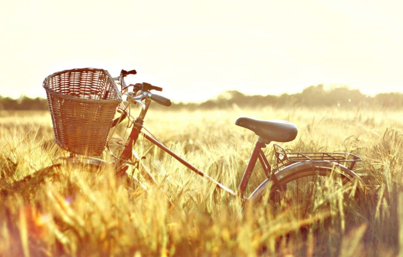 A Bicycle Is Parked In A Field Of Wheat Background